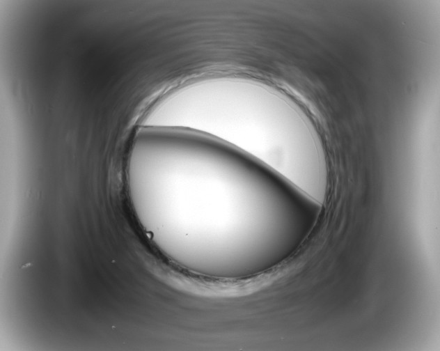 X0000086240015200703291015