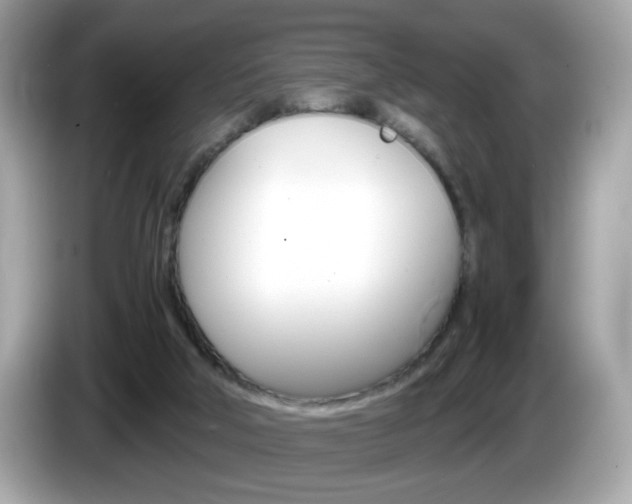 X0000086240018200703291015