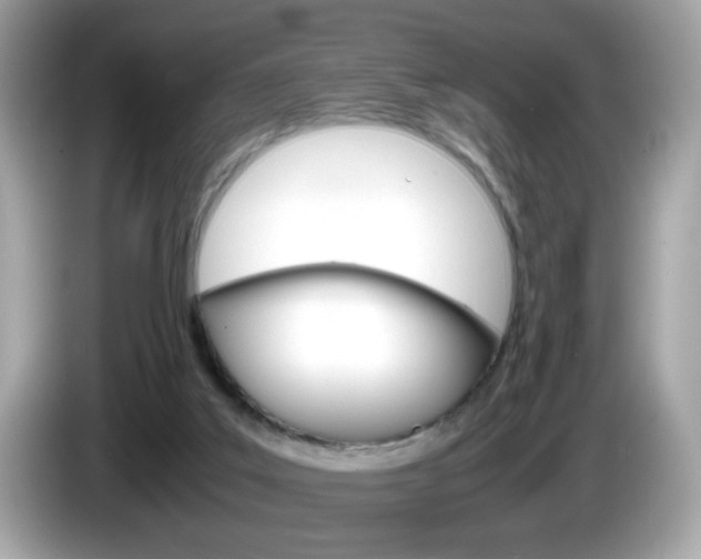 X0000086240019200703291015