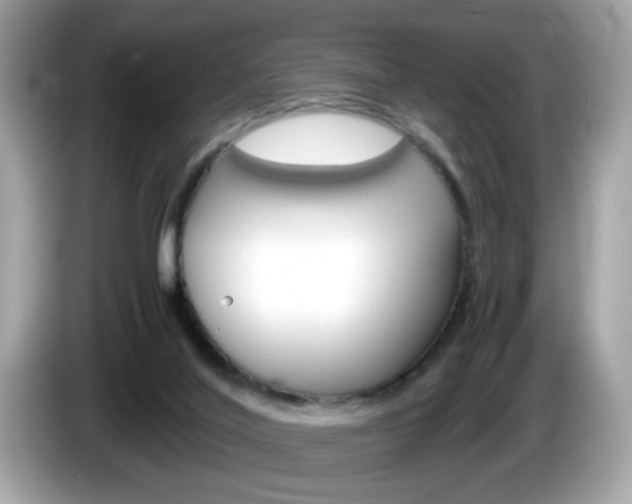 X0000086240020200703291014