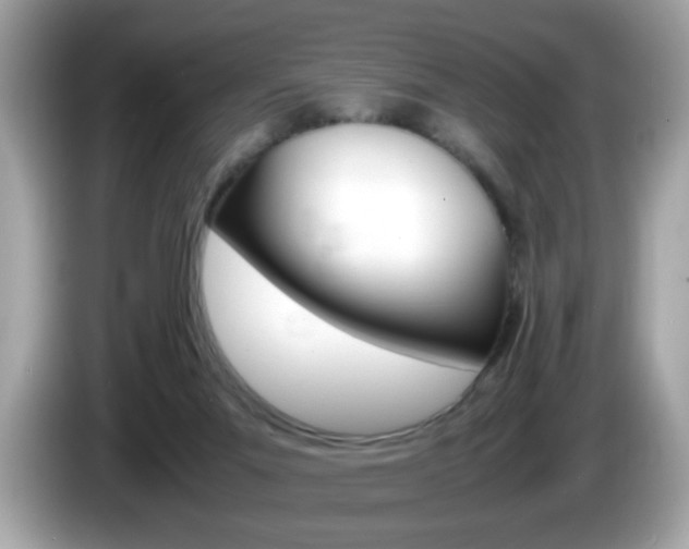 X0000086240023200703291014