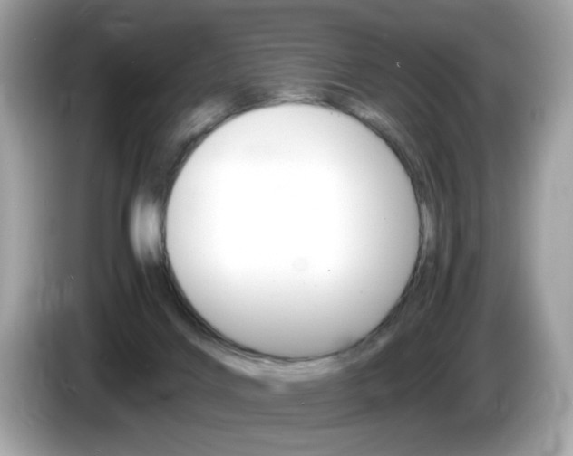 X0000086240028200703291014