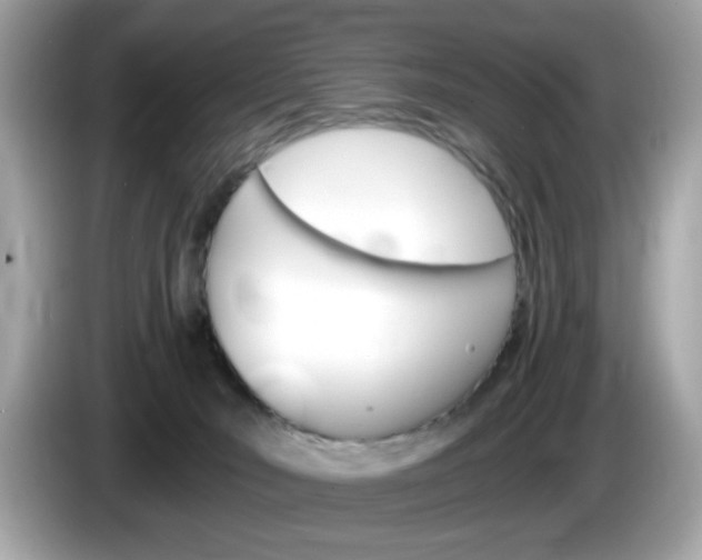 X0000086240030200703291014