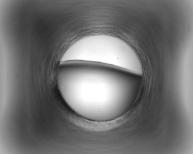X0000086240031200703291014
