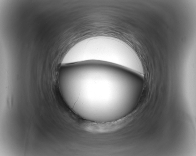 X0000086240033200703291014