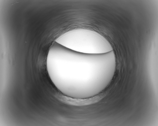 X0000086240034200703291014