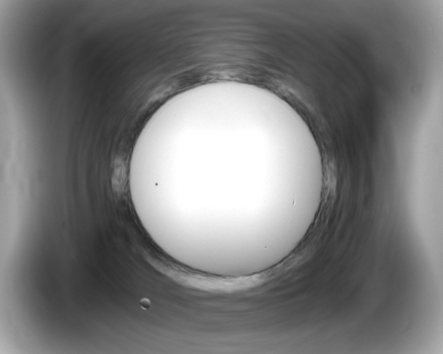X0000086240036200703291014