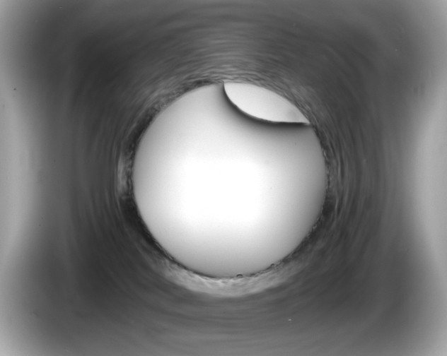 X0000086240038200703291014