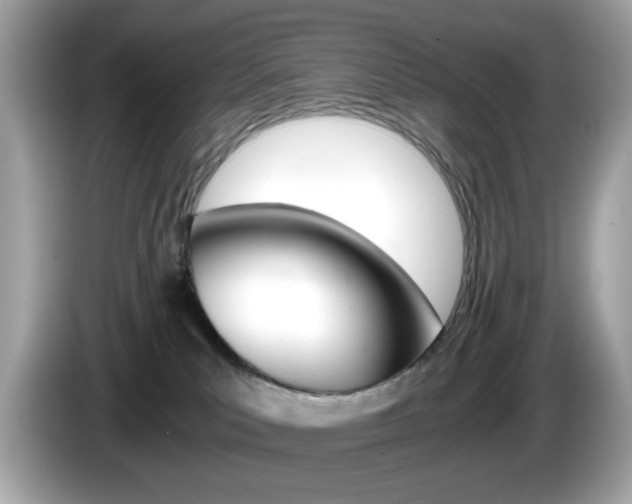 X0000086240039200703291014