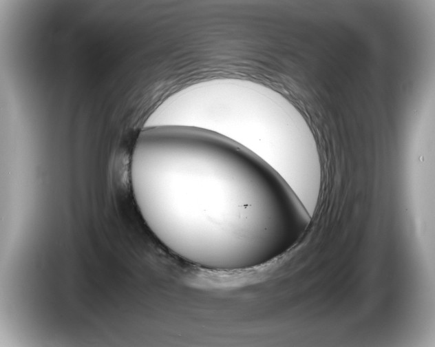 X0000086240041200703291014