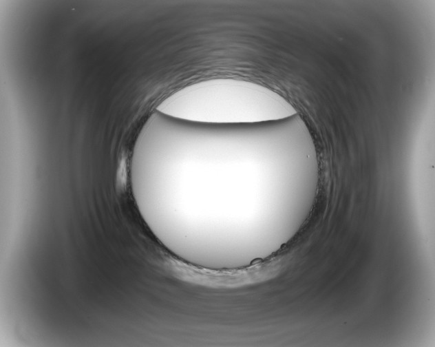 X0000086240042200703291014