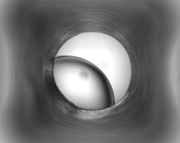 X0000086240045200703291014
