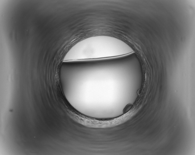 X0000086240048200703291014