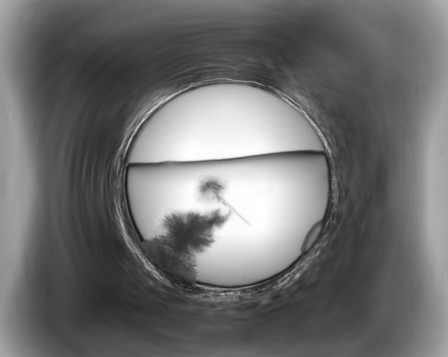 X0000086240049200703291013