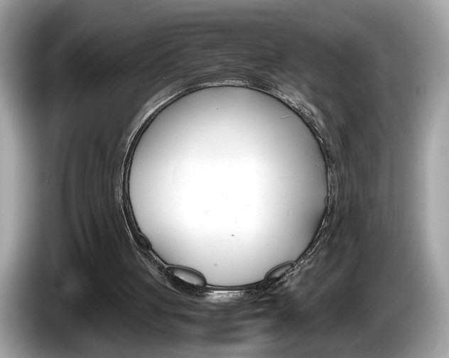 X0000086240051200703291013