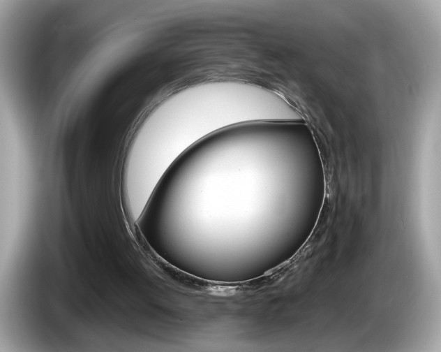 X0000086240052200703291013