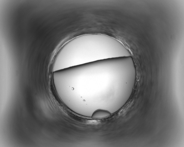 X0000086240053200703291014