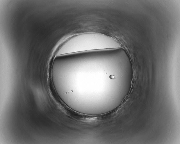 X0000086240054200703291014