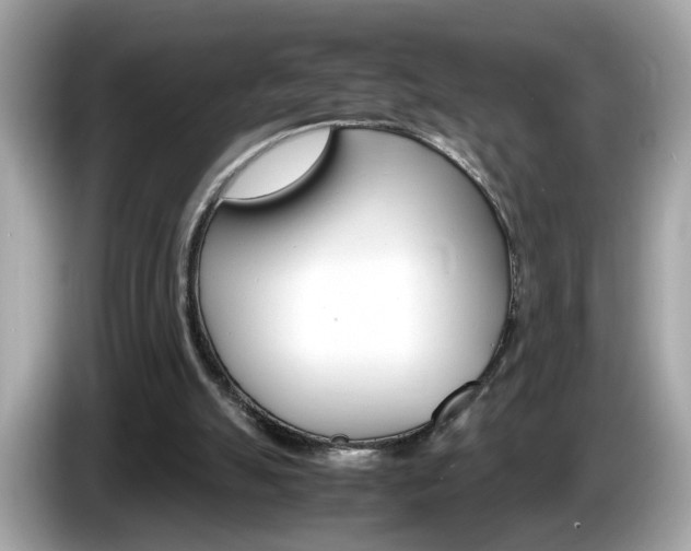 X0000086240055200703291014