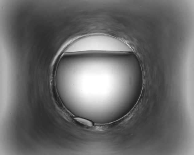 X0000086240056200703291014