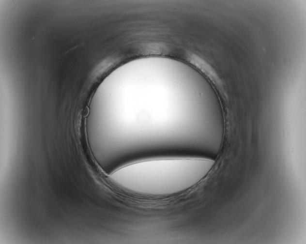 X0000086240058200703291014