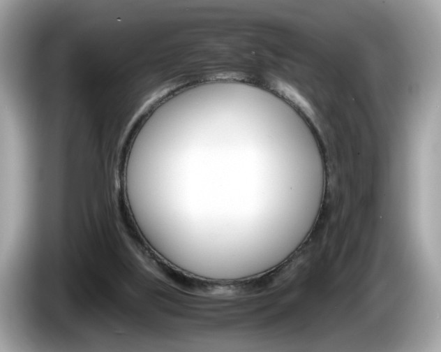 X0000086240059200703291014