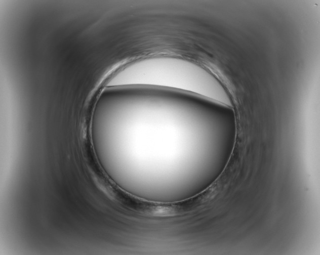 X0000086240060200703291014