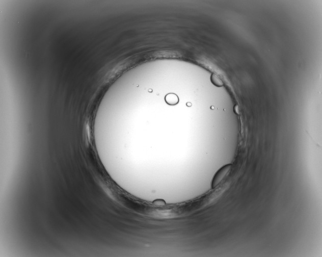 X0000086240061200703291014