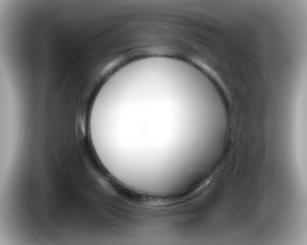 X0000086240062200703291014