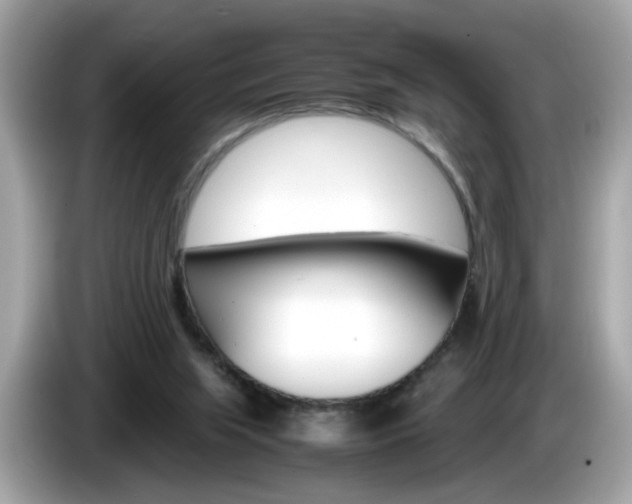 X0000086240063200703291014