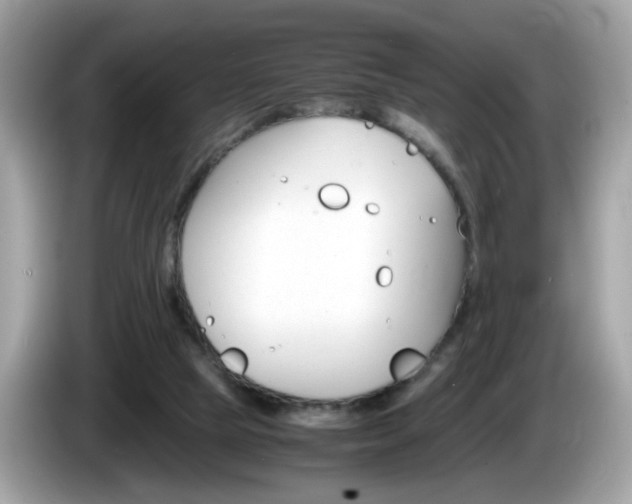 X0000086240065200703291014