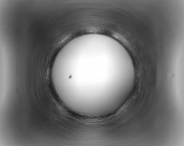 X0000086240066200703291014