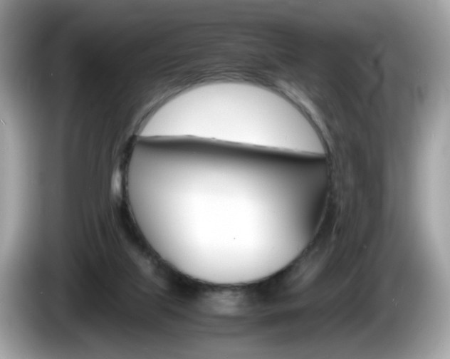 X0000086240067200703291014