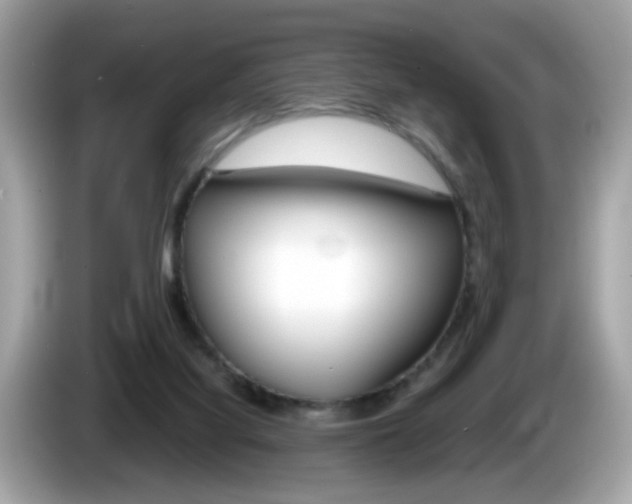 X0000086240068200703291014
