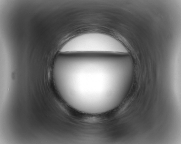 X0000086240071200703291014