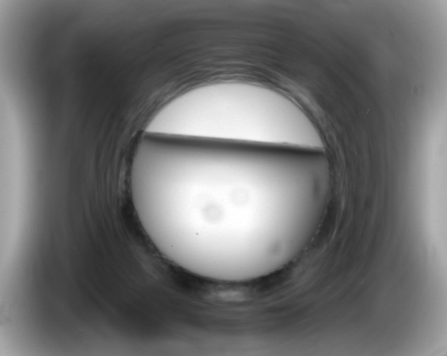 X0000086240073200703291014