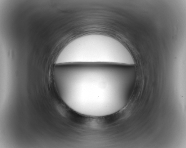 X0000086240074200703291014