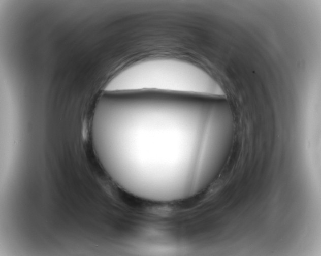X0000086240075200703291014