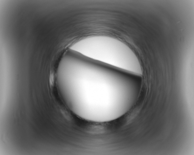 X0000086240076200703291014