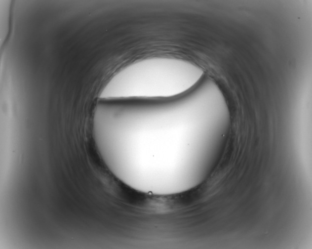 X0000086240079200703291014