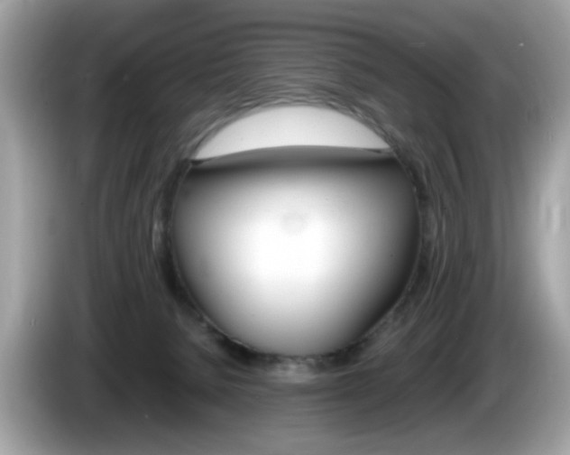 X0000086240080200703291014