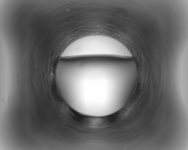 X0000086240085200703291014