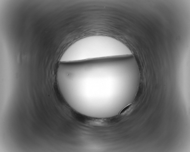 X0000086240086200703291014
