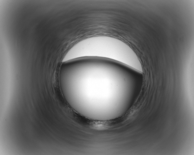 X0000086240088200703291014