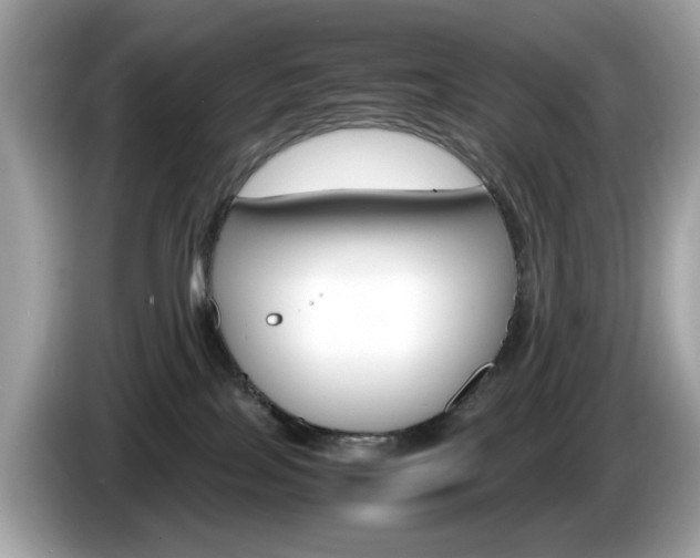 X0000086240089200703291014