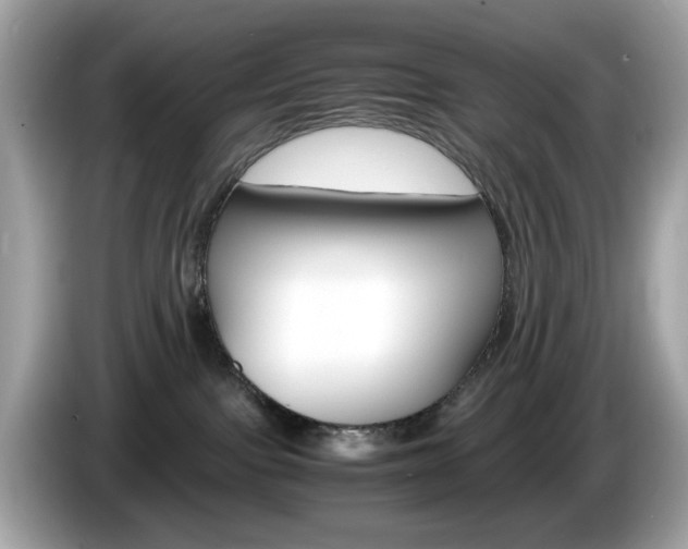 X0000086240091200703291014