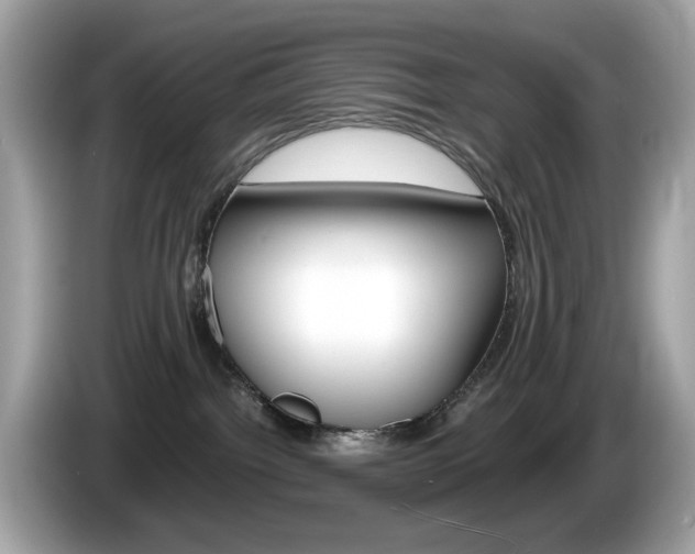 X0000086240092200703291014