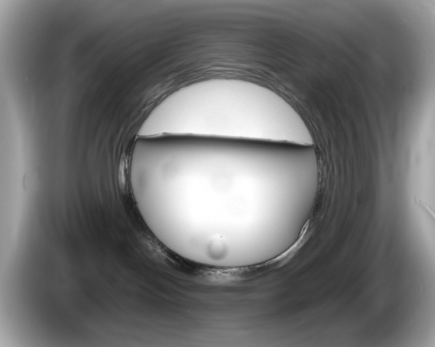 X0000086240094200703291014