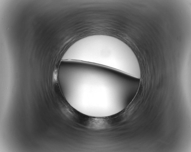 X0000086240095200703291014