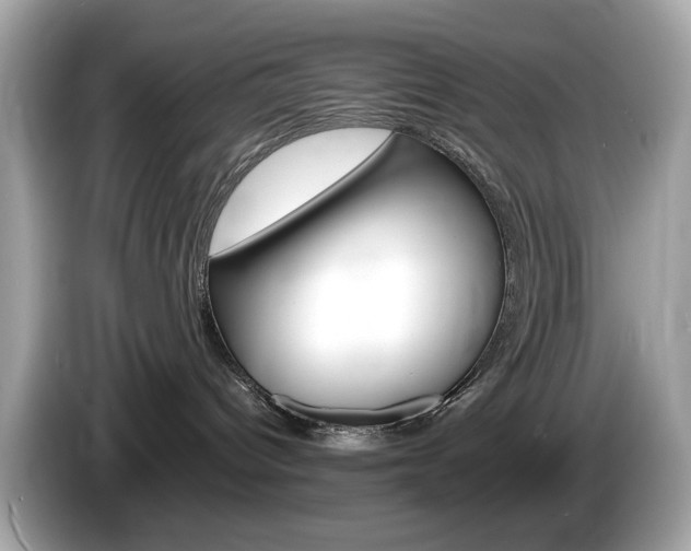 X0000086240096200703291014